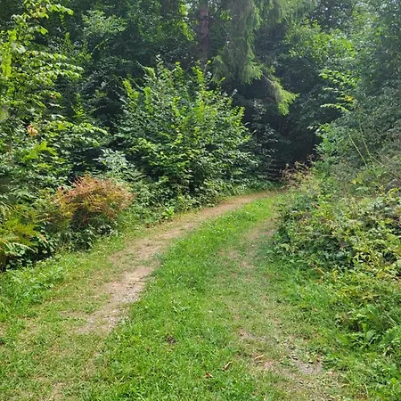 Holiday home Culcus Tarcau
